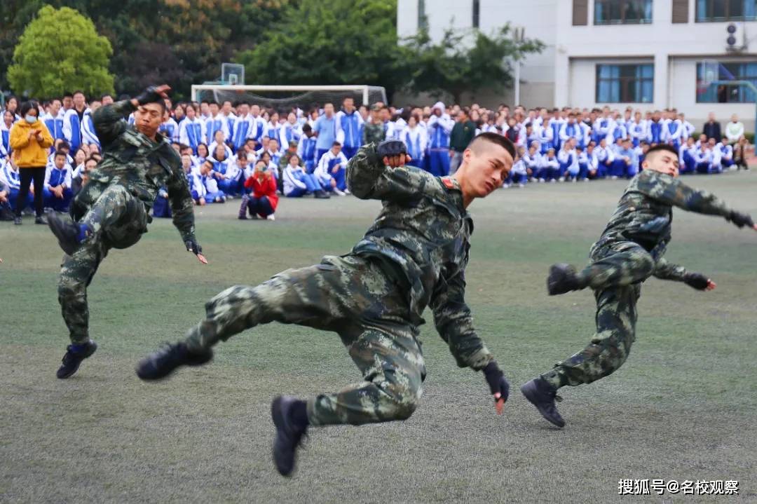 包含足坛豪杰策马踏沙场，英姿飒爽再战功名的词条