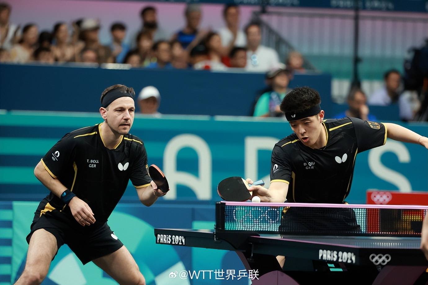 九游体育APP下载-德国乒乓球队逆转日本乒乓球队，波尔爆发神勇的简单介绍