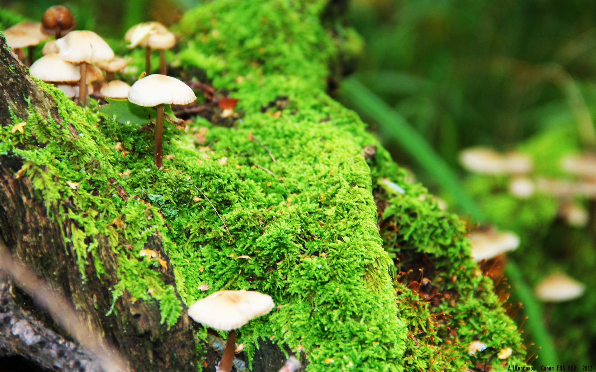 九游体育平台-猛龙客场撕破防线，爱德华兹末节封神