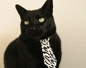 数据风暴席卷东方，贝恩全面爆炸率篮网力擒浙江