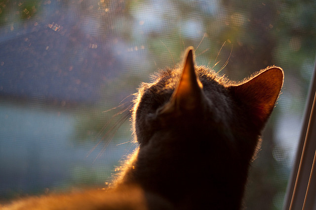 芬兰全面压制中国，卡瓦哈尔轰出统治级数据