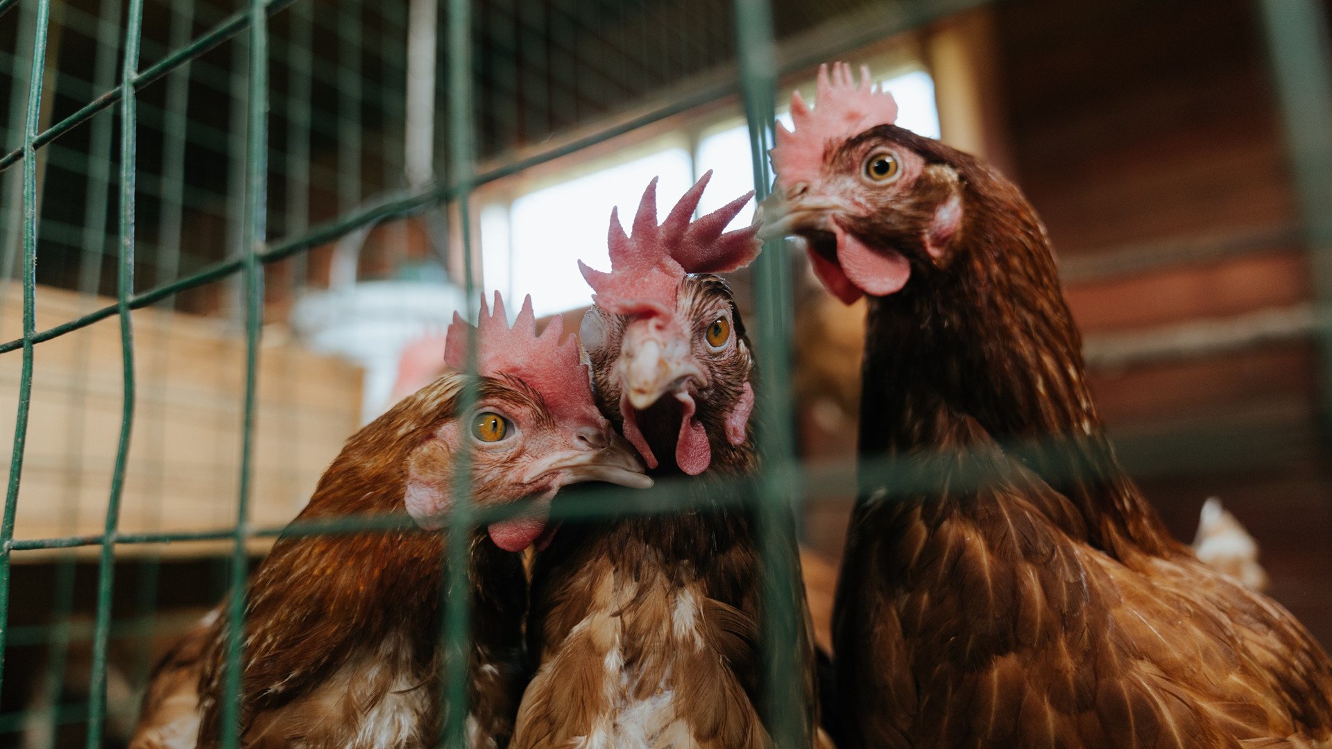 双线辉煌，英超争冠战火点燃，浙江队篮球赛场轻取雷霆