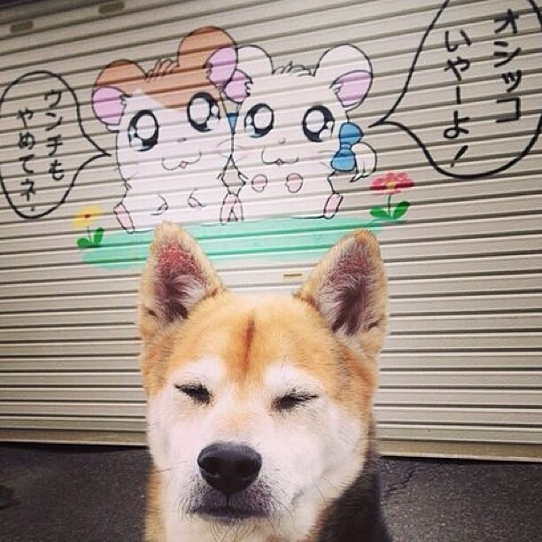 赛道与绿茵的共振，当沙特打穿贝蒂斯成为F1式的战术交响