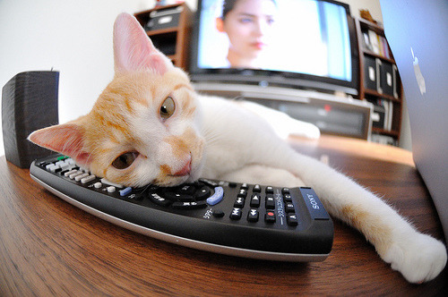 九游体育官方入口-锋线铁闸锁死巴特勒，开拓者火力全开击退热火