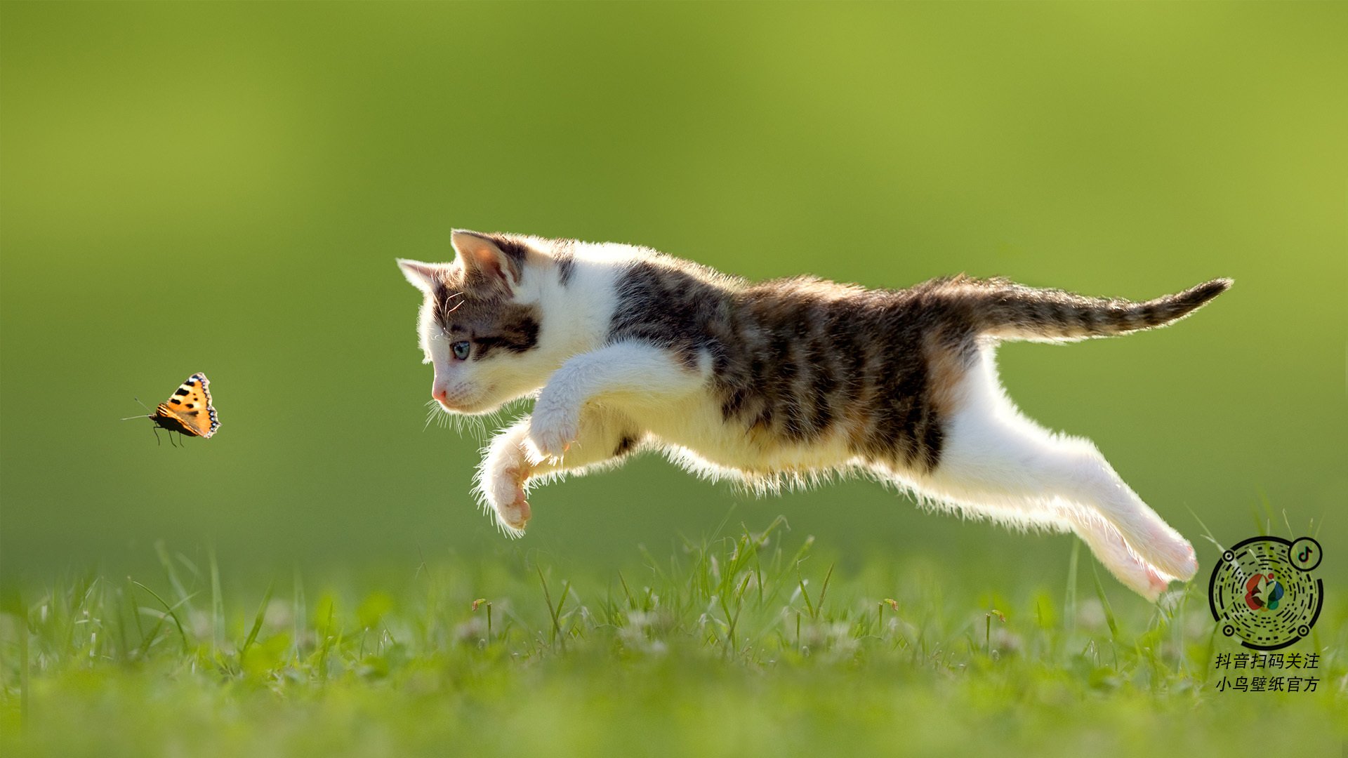 九游VIP-关键先生戈麦斯一锤定音 尼斯力擒国际米兰迎生死战胜利